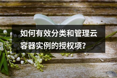 如何有效分类和管理云容器实例的授权项?