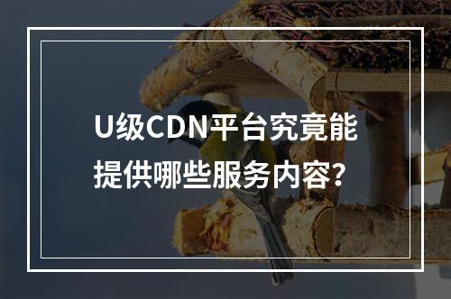 U级CDN平台究竟能提供哪些服务内容?