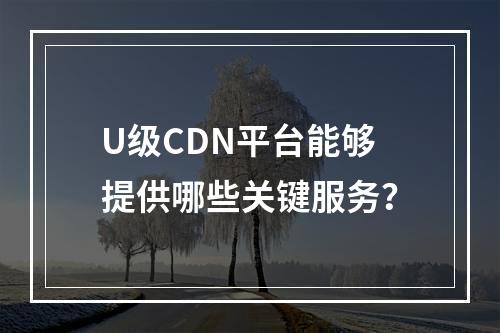 U级CDN平台能够提供哪些关键服务?