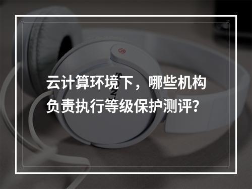 云计算环境下,哪些机构负责执行等级保护测评?