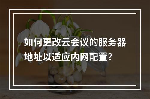 如何更改云会议的服务器地址以适应内网配置?