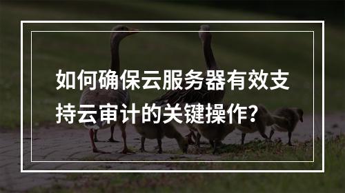 如何确保云服务器有效支持云审计的关键操作?
