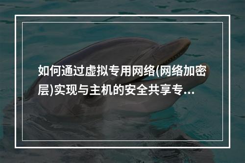 如何通过虚拟专用网络(网络加密层)实现与主机的安全共享专用网络连接?