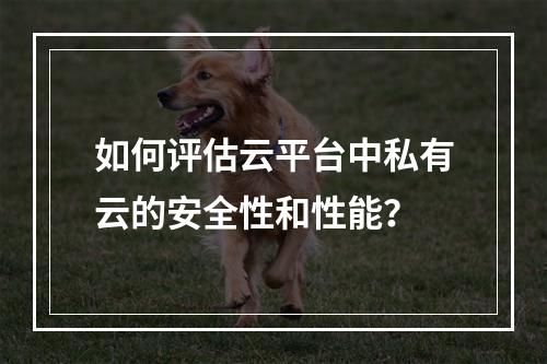 如何评估云平台中私有云的安全性和性能?