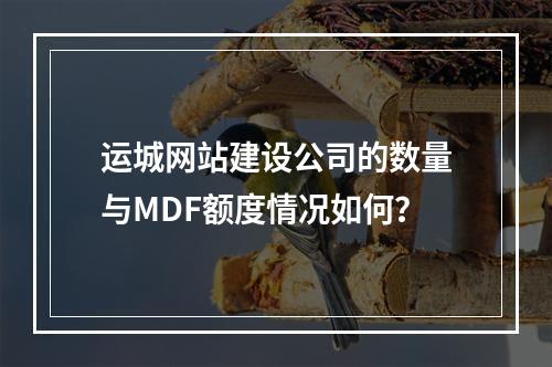 运城网站建设公司的数量与MDF额度情况如何?