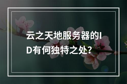 云之天地服务器的ID有何独特之处?