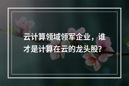 云计算领域领军企业,谁才是计算在云的龙头股?