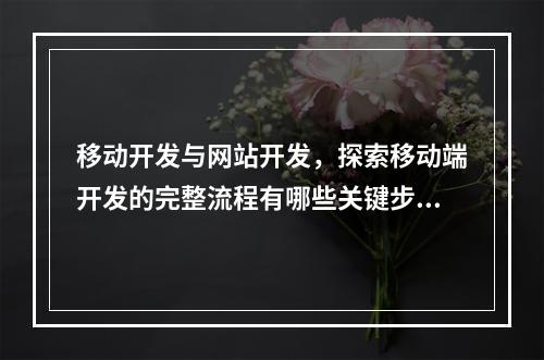 移动开发与网站开发,探索移动端开发的完整流程有哪些关键步骤?
