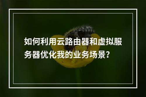 如何利用云路由器和虚拟服务器优化我的业务场景?