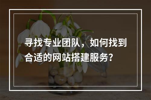 寻找专业团队,如何找到合适的网站搭建服务?