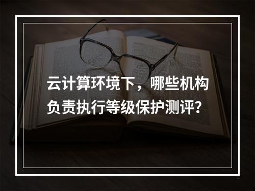 云计算环境下,哪些机构负责执行等级保护测评?
