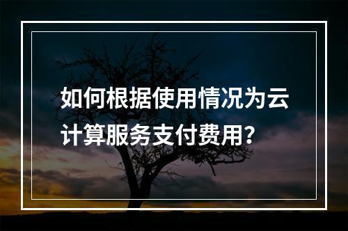 如何根据使用情况为云计算服务支付费用?