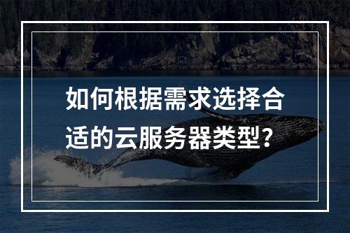 如何根据需求选择合适的云服务器类型?