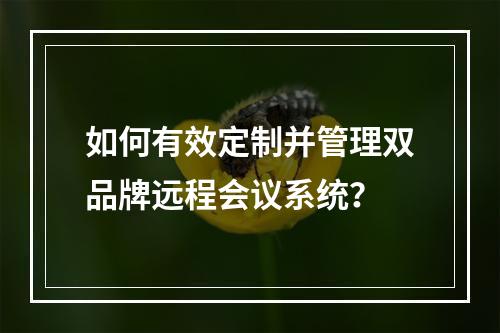 如何有效定制并管理双品牌远程会议系统?