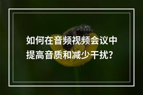 如何在音频视频会议中提高音质和减少干扰?