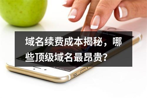 域名续费成本揭秘,哪些顶级域名最昂贵?