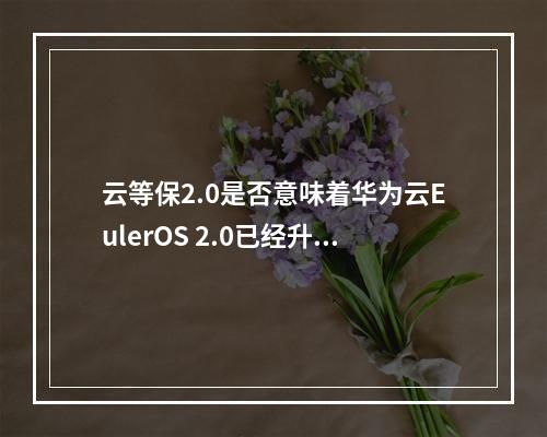 云等保2.0是否意味着华为云EulerOS 2.0已经升级到符合三级保护标准的镜像版本?