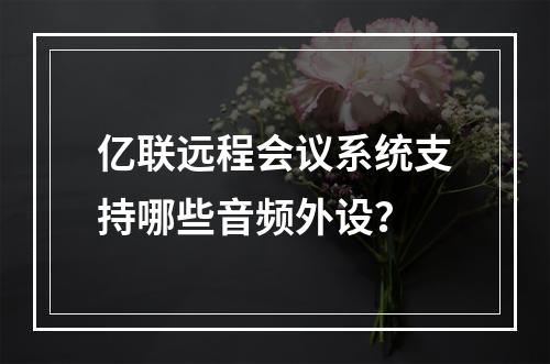 亿联远程会议系统支持哪些音频外设?
