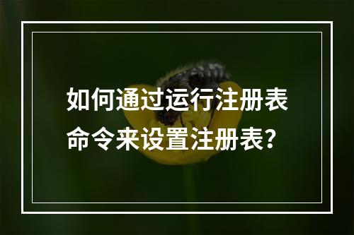 如何通过运行注册表命令来设置注册表?
