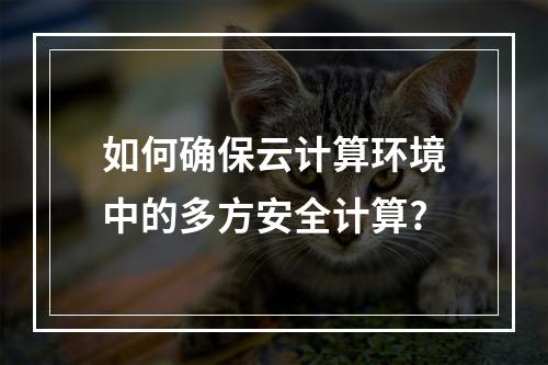如何确保云计算环境中的多方安全计算?