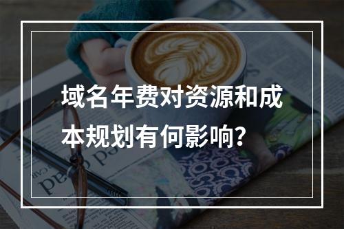 域名年费对资源和成本规划有何影响?