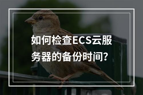 如何检查ECS云服务器的备份时间?