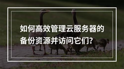 如何高效管理云服务器的备份资源并访问它们?