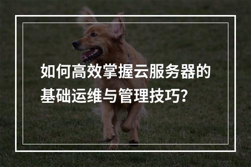 如何高效掌握云服务器的基础运维与管理技巧?