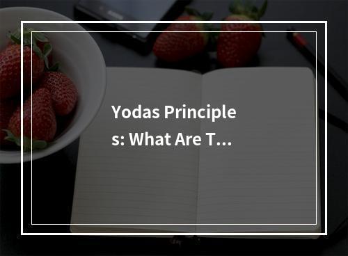 Yodas Principles: What Are The Fundamental Rules He Lives By?