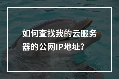 如何查找我的云服务器的公网IP地址?