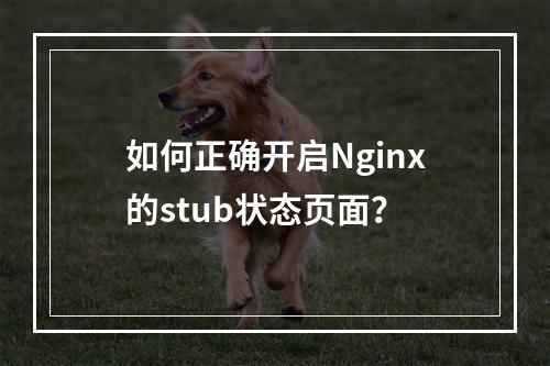 如何正确开启Nginx的stub状态页面?