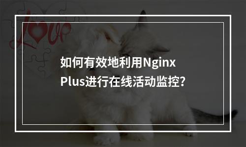 如何有效地利用Nginx Plus进行在线活动监控?