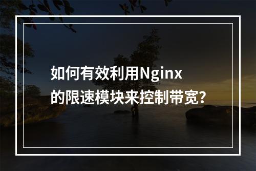 如何有效利用Nginx的限速模块来控制带宽?