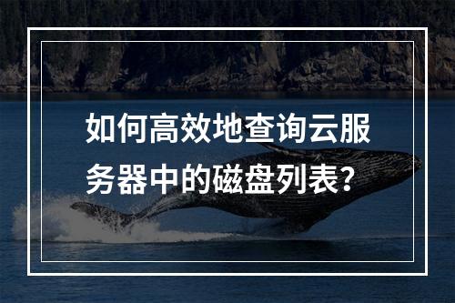 如何高效地查询云服务器中的磁盘列表?