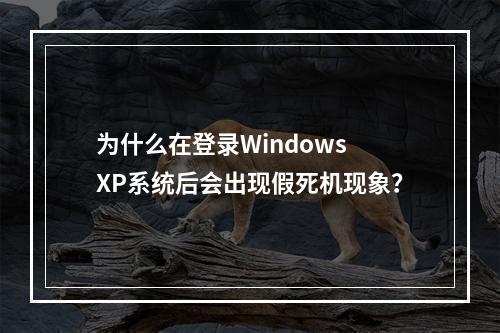 为什么在登录Windows XP系统后会出现假死机现象?