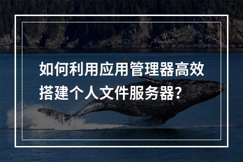 如何利用应用管理器高效搭建个人文件服务器?