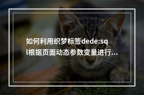 如何利用织梦标签dede:sql根据页面动态参数变量进行动态查询以调用其他信息?