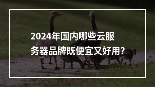 2024年国内哪些云服务器品牌既便宜又好用？