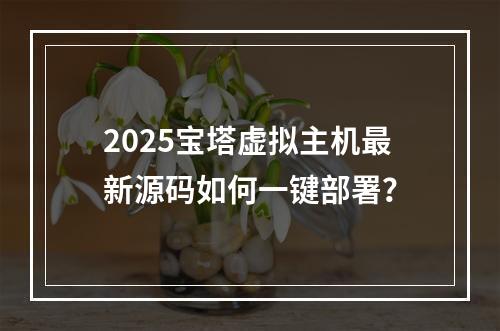 2025宝塔虚拟主机最新源码如何一键部署？