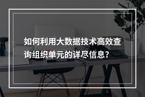 如何利用大数据技术高效查询组织单元的详尽信息?