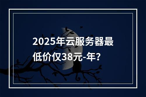 2025年云服务器最低价仅38元-年？