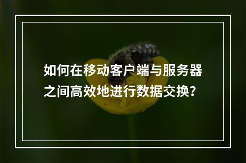 如何在移动客户端与服务器之间高效地进行数据交换?