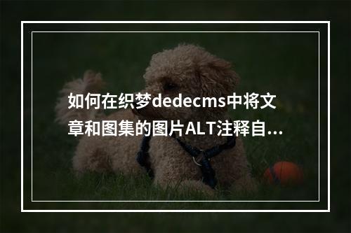 如何在织梦dedecms中将文章和图集的图片ALT注释自动更改为文章标题?