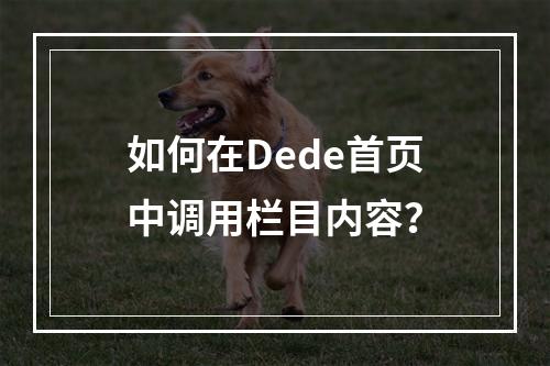 如何在Dede首页中调用栏目内容?