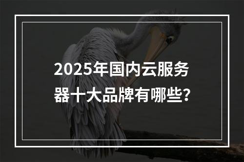 2025年国内云服务器十大品牌有哪些？