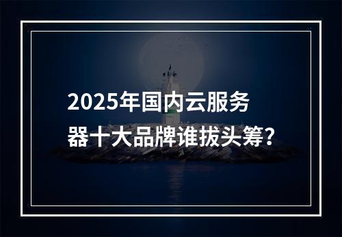 2025年国内云服务器十大品牌谁拔头筹？