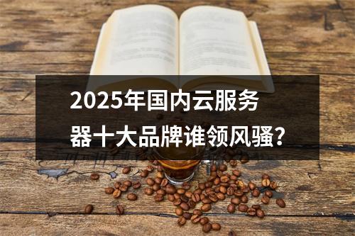 2025年国内云服务器十大品牌谁领风骚？