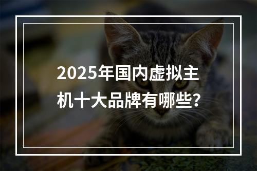 2025年国内虚拟主机十大品牌有哪些？