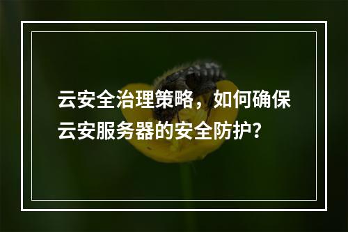 云安全治理策略,如何确保云安服务器的安全防护?