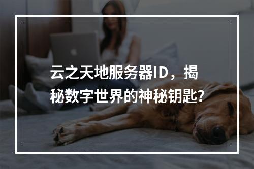 云之天地服务器ID,揭秘数字世界的神秘钥匙?